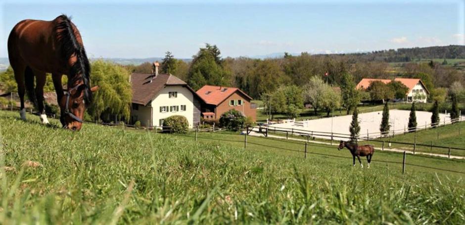 Murist Guesthouse La Moliere, 3 Bedrooms, Private House, Horse Farm, Full Nature מראה חיצוני תמונה