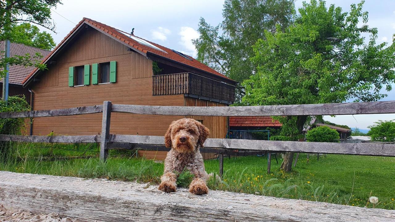 Murist Guesthouse La Moliere, 3 Bedrooms, Private House, Horse Farm, Full Nature מראה חיצוני תמונה
