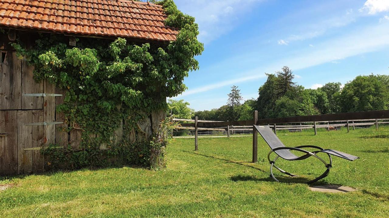 Murist Guesthouse La Moliere, 3 Bedrooms, Private House, Horse Farm, Full Nature מראה חיצוני תמונה